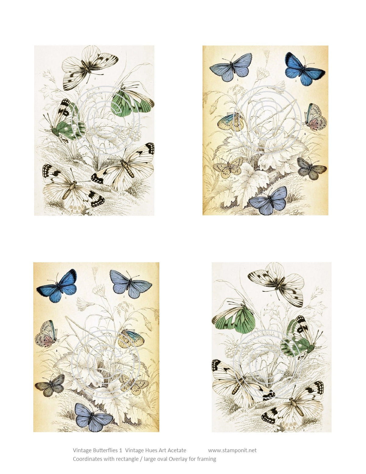 GlitterFilm & Vintage Hues 12 Card Kit Vintage Butterflies 1
