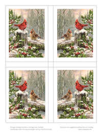 GlitterFilm and Vintage Hue 4 Card Kit Vintage Holiday Cardinals
