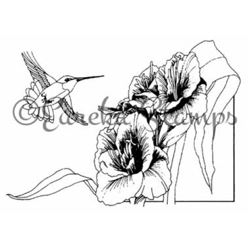 Gladiola & Hummer Art Rubber Stamp  ES 21101H