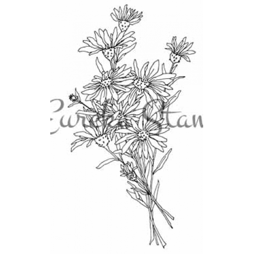 Daisy Bouquet Art Rubber Stamp  9201L