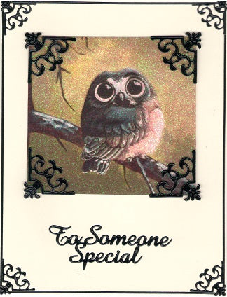 GlitterFilm & Vintage Hues 12 Card Kit Whimsical Owl Squares 1
