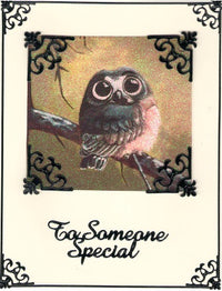 GlitterFilm & Vintage Hues 12 Card Kit Whimsical Owl Squares 1