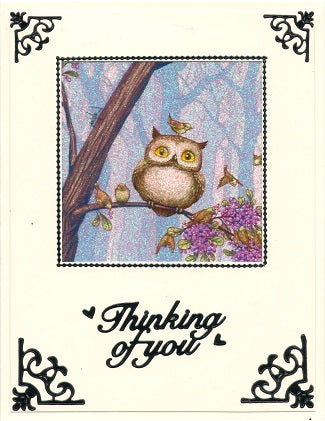 GlitterFilm & Vintage Hues 12 Card Kit Whimsical Owl Squares 1