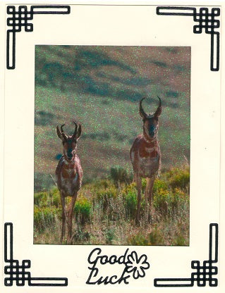 GlitterFilm & Vintage Hues 12 Card Kit Animals of the Wild 1