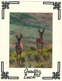GlitterFilm & Vintage Hues 12 Card Kit Animals of the Wild 1
