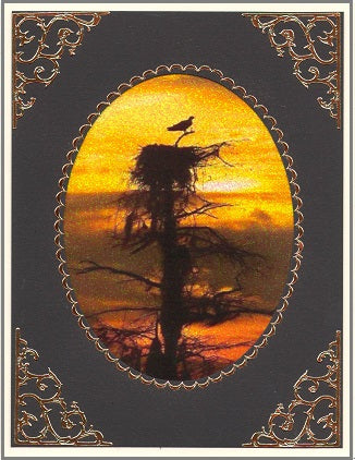 GlitterFilm & Vintage Hues 12 Card Kit Majestic Birds