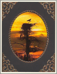 GlitterFilm & Vintage Hues 12 Card Kit Majestic Birds