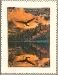 GlitterFilm & Vintage Hues 12 Card Kit Majestic Birds