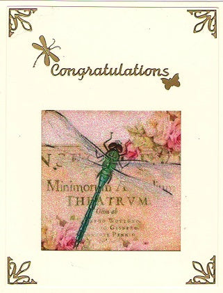 GlitterFilm & Vintage Hues 12 Card Kit Dragonfly Squares