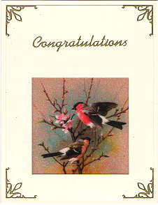 GlitterFilm & Vintage Hues 12 Card Kit Winged Things Squares