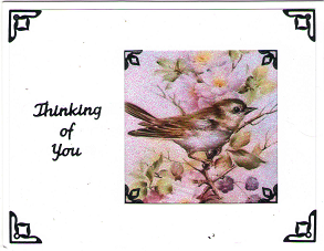 GlitterFilm & Vintage Hues 12 Card Kit Winged Things Squares