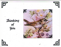 GlitterFilm & Vintage Hues 12 Card Kit Winged Things Squares