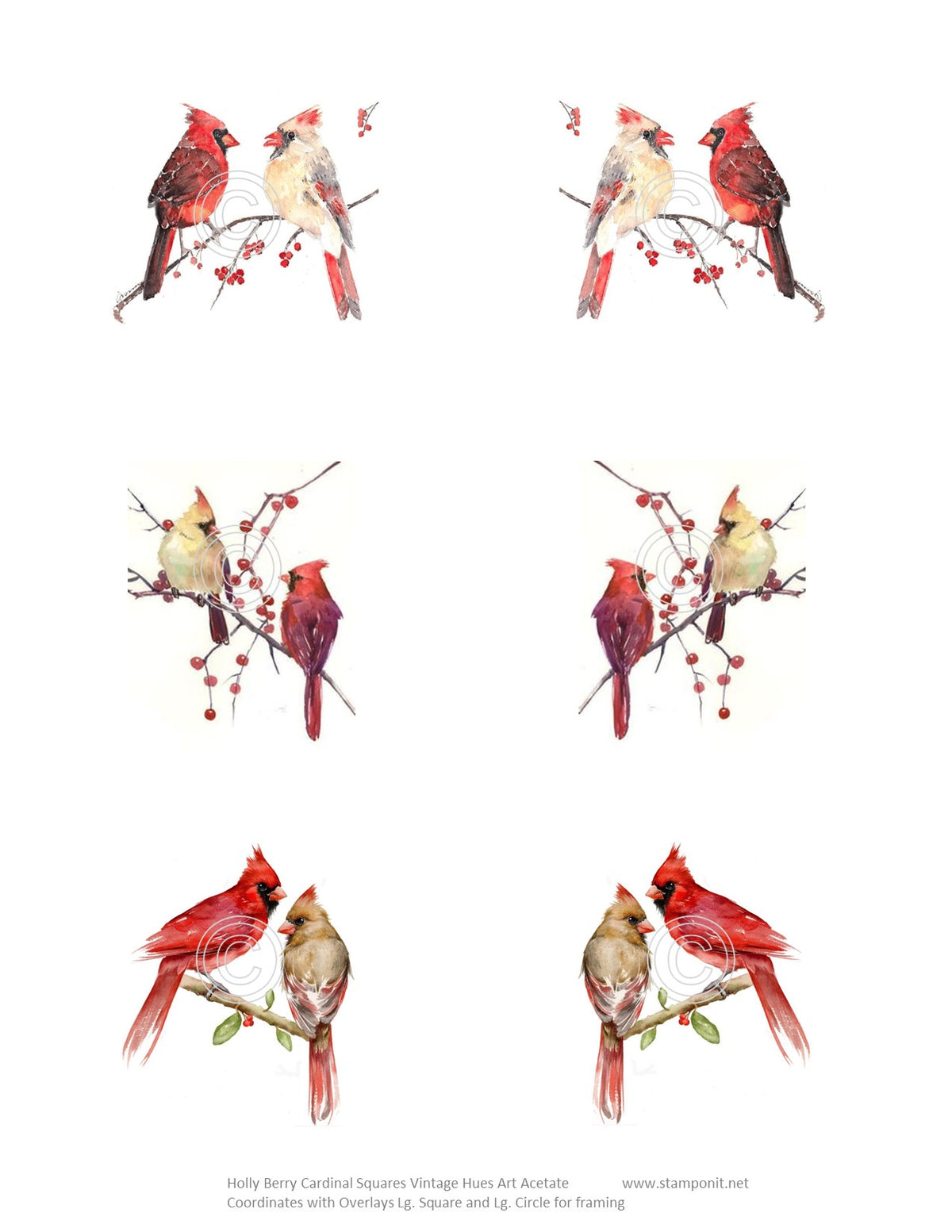 Holly Berry Cardinal Squares Vintage Hue Acetate