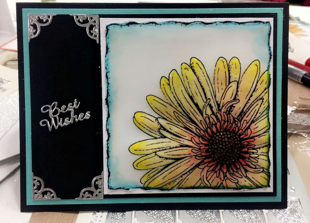Vellum, Cardstock Weight
