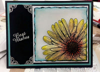 Vellum, Cardstock Weight