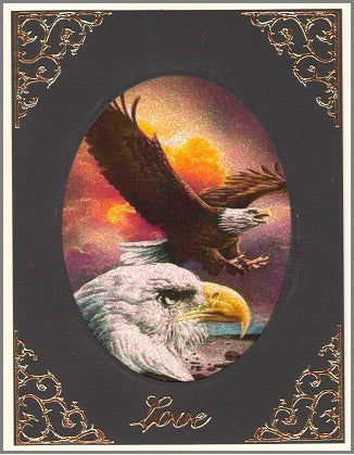 GlitterFilm & Vintage Hues 12 Card Kit Majestic Birds