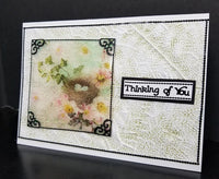 Embossing Folder, 3D Leaf Vein 664488