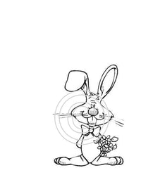 Silly Rabbit Art Acetate