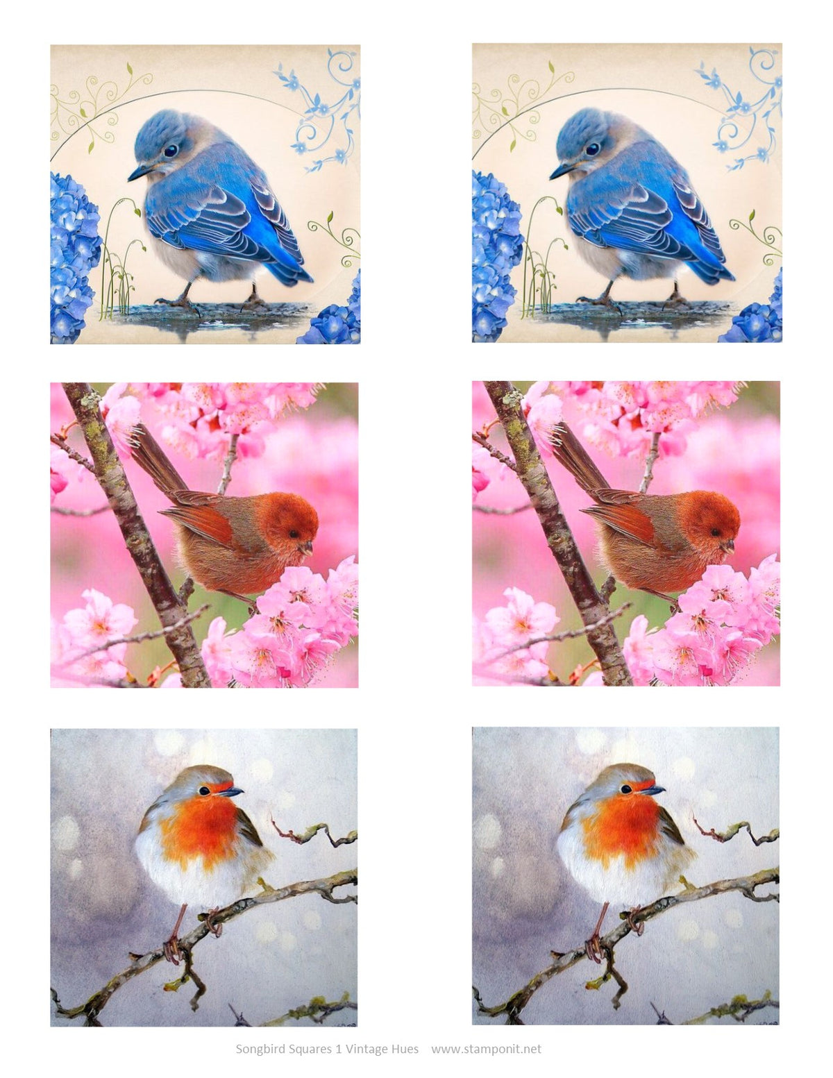 GlitterFilm & Vintage Hues 12 Card Kit Songbird Squares