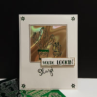 Succulents & Cactus Outline Sticker  4142 (Free Hugs)