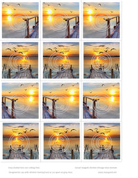Sunset Seagulls Slimline full sheet Vintage Hue Acetate