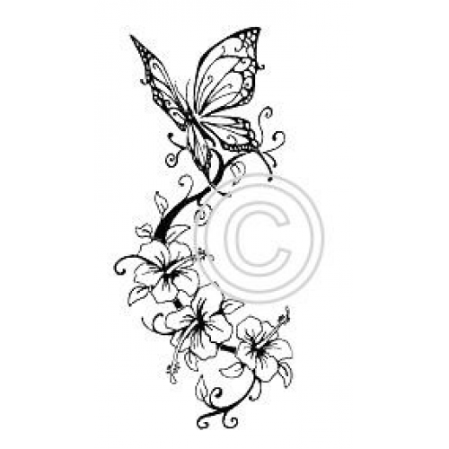 Butterfly on Hibiscus Art Acetate