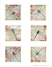 GlitterFilm & Vintage Hues 12 Card Kit Dragonfly Squares