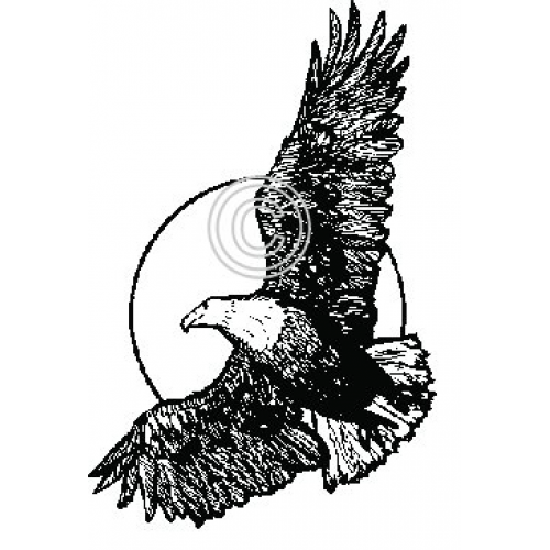 Eagle In Flight Art Acetate