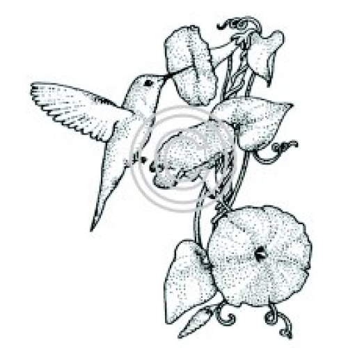 Hummingbird Art Acetate
