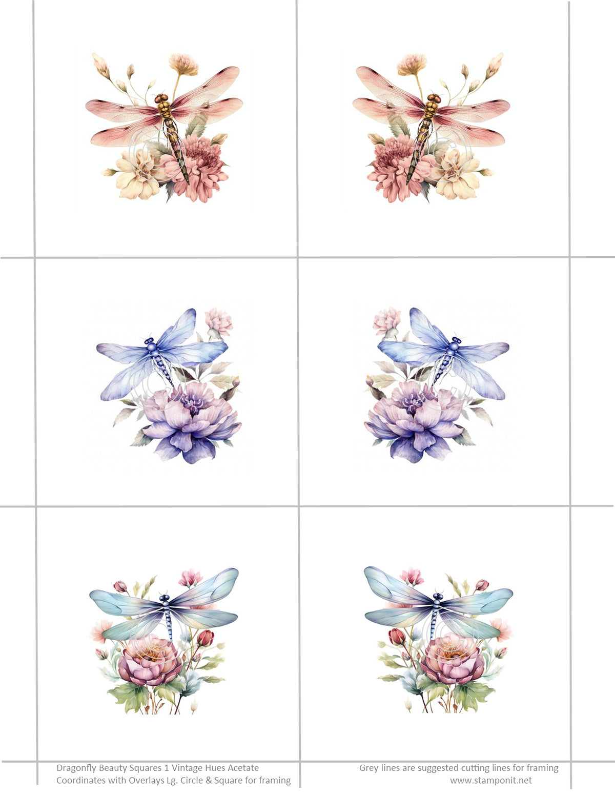 GlitterFilm and Vintage Hue 12 Card Kit Dragonfly Beauty Squares