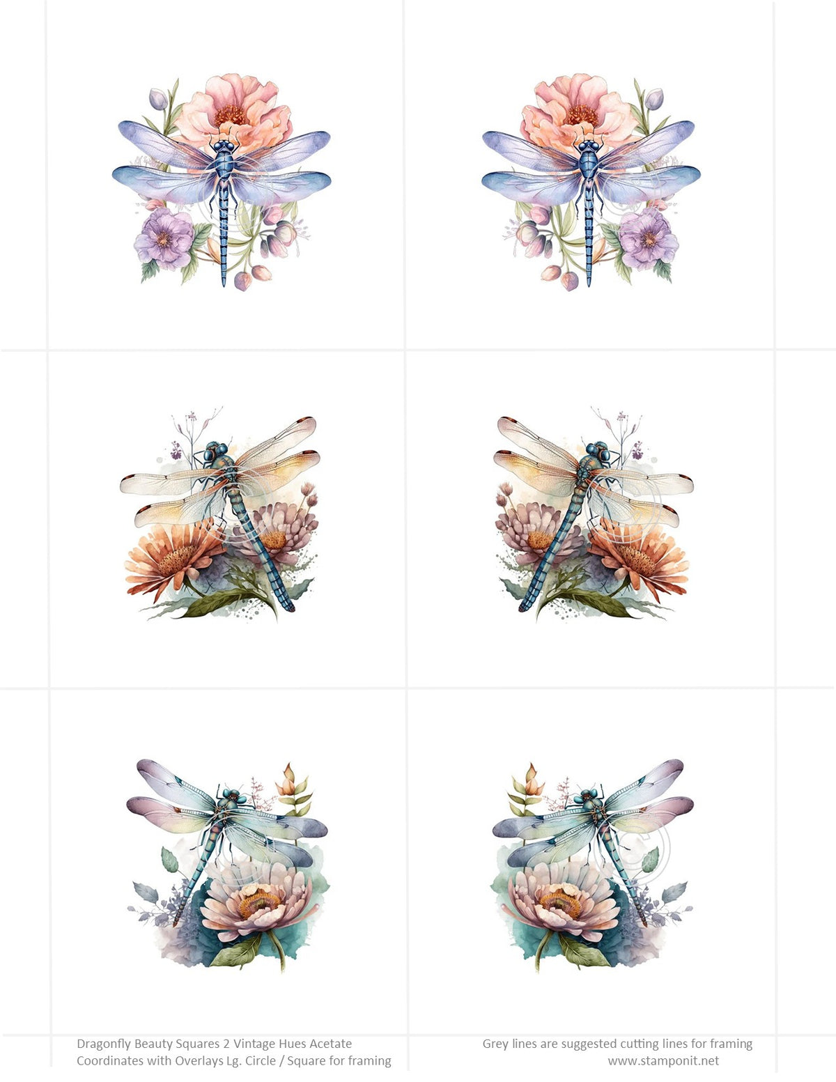 GlitterFilm and Vintage Hue 12 Card Kit Dragonfly Beauty Squares