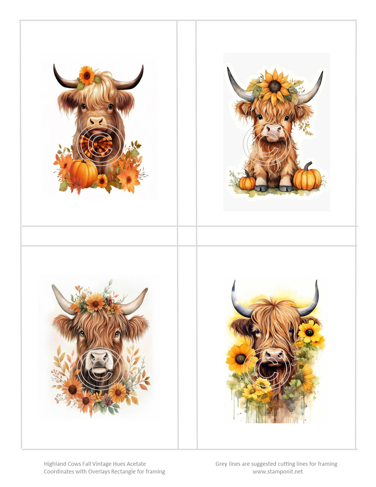 Fall Highland Cows Vintage Hue Acetate