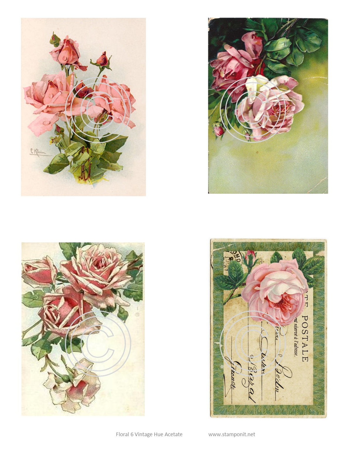 Florals 6, Vintage Hue Acetate