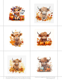 Hay Fall Highland Cows Vintage Hue Acetate