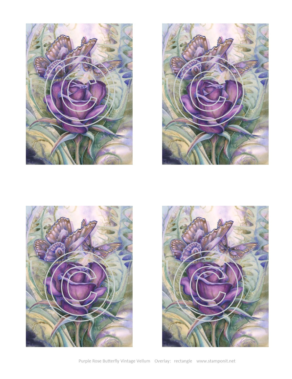 Purple Rose Butterflies Vintage Hue Acetate
