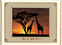 GlitterFilm and Vintage Hue 4 Card Kit Safari Animals 1