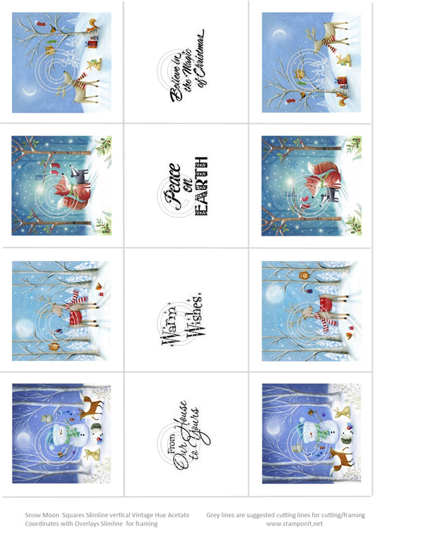 Snow Moon Greetings Slimline Vintage Hue Acetate