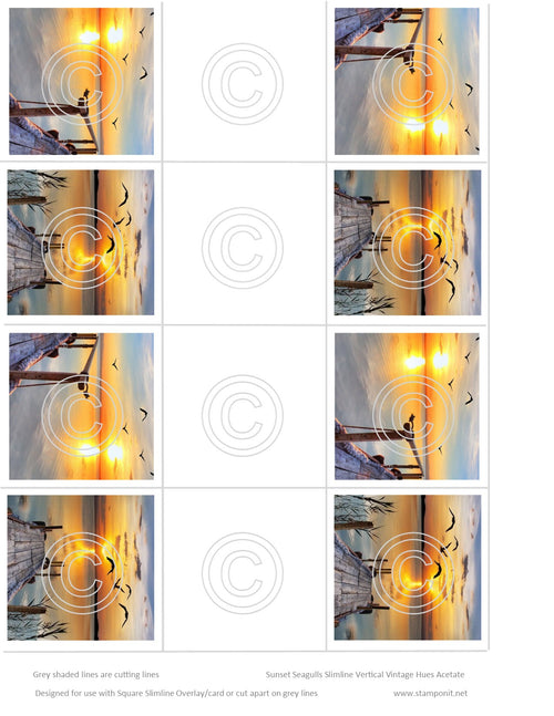 Sunset Seagulls Slimline Vintage Hue Acetate