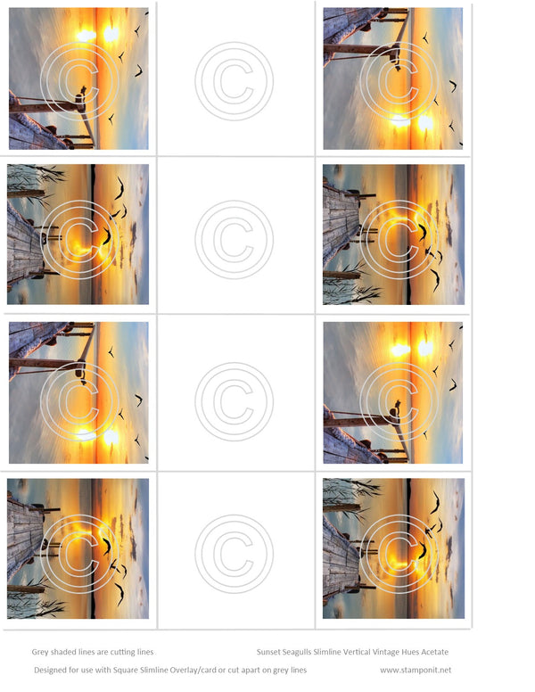 Sunset Seagulls Slimline Vintage Hue Acetate
