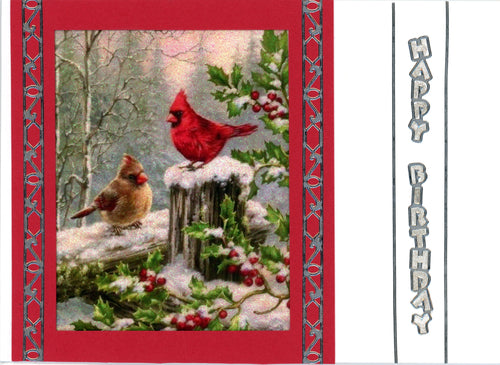 Vintage Holidays Cardinals Vintage Hues Acetate