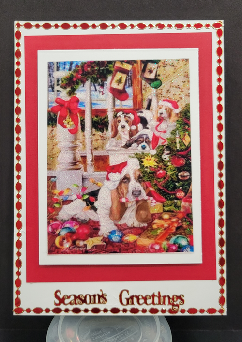 Various Oval Borders Outline Sticker  2843