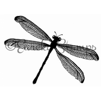 Large Dragonfly Stamp  2005L