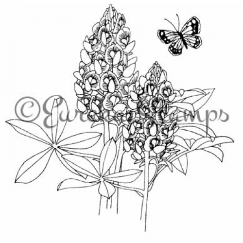 Butterfly and Bluebonnet Art Rubber Stamp  ES 21201L