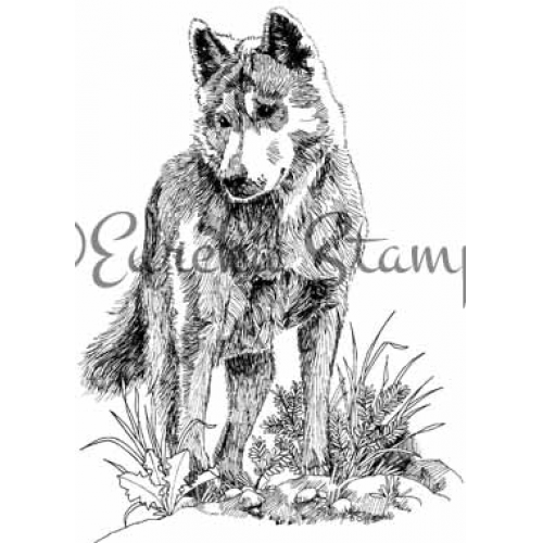 Wolf Art Rubber Stamp   ES 36501Q