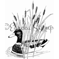 Mallard Duck in Cattails Art Rubber Stamp  ES 36601R