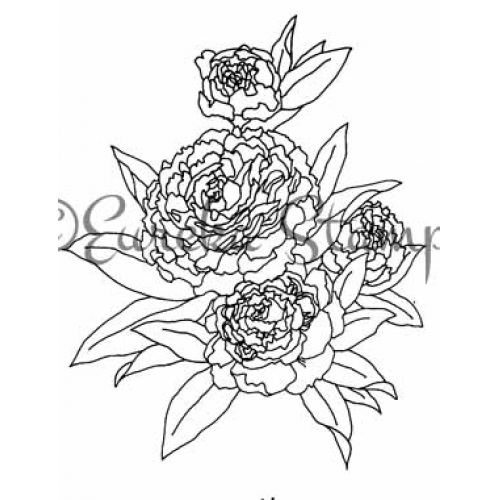 Carnations Art Rubber Stamp  9203K