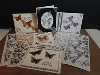 Sticker, Double Embossed Butterflies big-small  355802