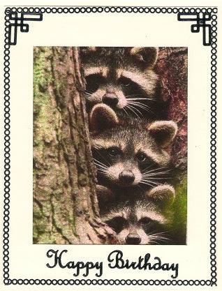 GlitterFilm & Vintage Hues 12 Card Kit Animals of the Wild 1