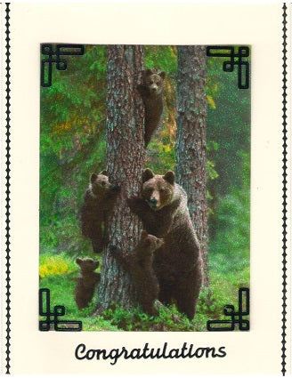 GlitterFilm & Vintage Hues 12 Card Kit Animals of the Wild 1
