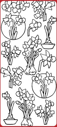 Daffodils Outline Sticker  DD6508